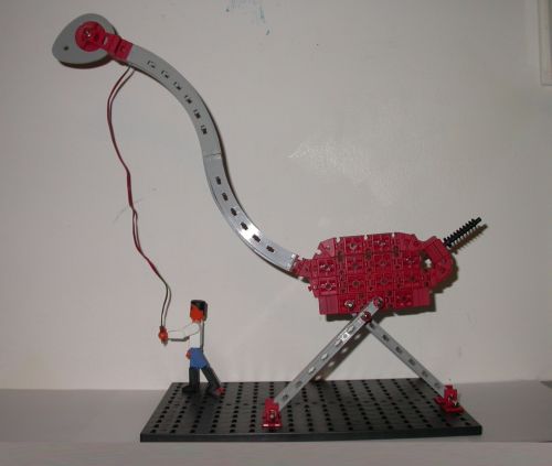 ftcnl-2006-4-Struisvogel.jpg