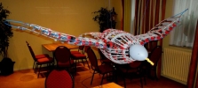 Festo SmartBird